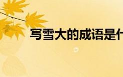 写雪大的成语是什么 写雪大的成语