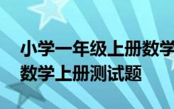 小学一年级上册数学测试卷全套 小学一年级数学上册测试题