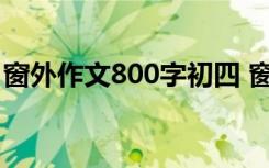 窗外作文800字初四 窗外优秀初中作文800字