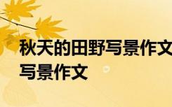 秋天的田野写景作文五百字以上 秋天的田野写景作文