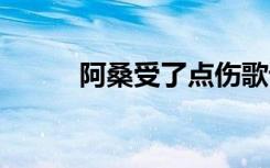 阿桑受了点伤歌词 受了点伤歌词