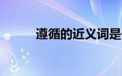 遵循的近义词是什 遵循的近义词