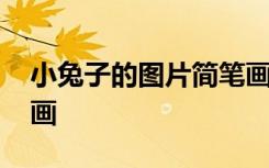 小兔子的图片简笔画可爱 小兔子的图片简笔画