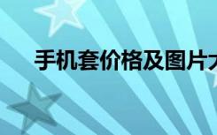 手机套价格及图片大全（5233手机套）