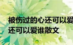 被伤过的心还可以爱谁什么意思 被伤过的心还可以爱谁散文