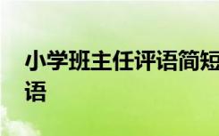 小学班主任评语简短精辟 小学班主任常用评语