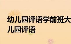 幼儿园评语学前班大全 幼儿园评语,学前班幼儿园评语