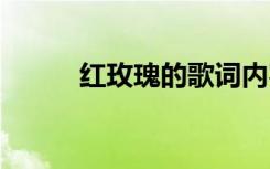 红玫瑰的歌词内容 红玫瑰的歌词