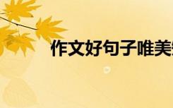 作文好句子唯美短句 作文好句子