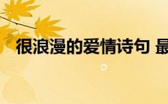 很浪漫的爱情诗句 最浪漫唯美的爱情诗句