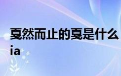 戛然而止的戛是什么 戛然而止的戛读ga还是jia