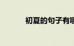 初夏的句子有哪些 初夏的句子