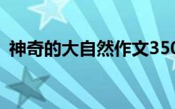 神奇的大自然作文350字 神奇的大自然作文