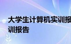 大学生计算机实训报告心得 大学生计算机实训报告