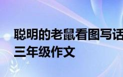 聪明的老鼠看图写话 看图作文聪明的小老鼠三年级作文
