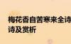 梅花香自苦寒来全诗解析 梅花香自苦寒来全诗及赏析