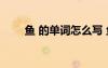 鱼 的单词怎么写 鱼的单词怎么拼写