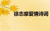 徐志摩爱情诗词 徐志摩爱情诗(2)
