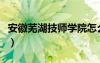 安徽芜湖技师学院怎么样（安徽芜湖技师学院）