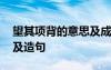 望其项背的意思及成语解释 望其项背的意思及造句