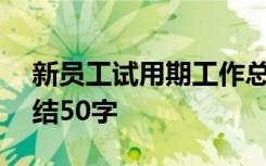 新员工试用期工作总结300字 试用期工作总结50字