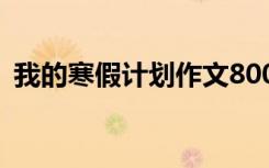 我的寒假计划作文800字 我的寒假计划作文