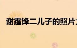 谢霆锋二儿子的照片大全（谢霆锋二儿子）