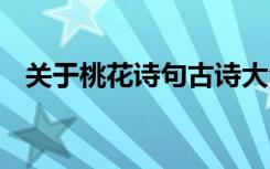 关于桃花诗句古诗大全 于桃花的著名诗句