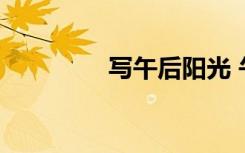 写午后阳光 午后阳光作文