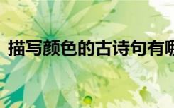 描写颜色的古诗句有哪些 描写颜色的古诗句