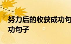 努力后的收获成功句子摘抄 努力后的收获成功句子