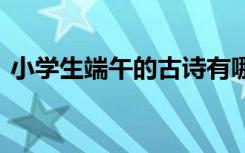 小学生端午的古诗有哪些 小学生端午的古诗