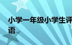 小学一年级小学生评语 小学生一年级学生评语
