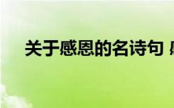关于感恩的名诗句 感恩的名言或者诗句