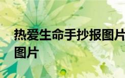 热爱生命手抄报图片高中版 热爱生命手抄报图片