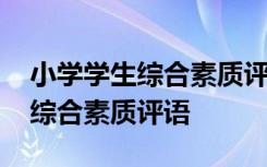 小学学生综合素质评语班主任寄语 小学学生综合素质评语