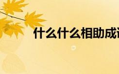 什么什么相助成语（什么什么机）