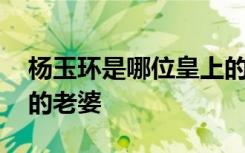 杨玉环是哪位皇上的妃子 杨玉环是哪个皇帝的老婆