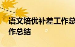 语文培优补差工作总结报告 语文培优补差工作总结