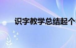 识字教学总结起个名字 识字教学总结