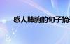 感人肺腑的句子摘录 感人肺腑的句子