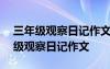 三年级观察日记作文300字关于动物的 三年级观察日记作文
