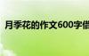 月季花的作文600字借景抒情 月季花的作文