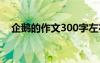 企鹅的作文300字左右 企鹅肉作文400字
