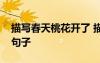 描写春天桃花开了 描写春天桃花花开的唯美句子