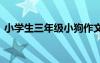小学生三年级小狗作文 小狗小学三年级作文