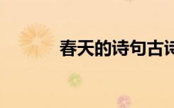 春天的诗句古诗大全 春天的诗