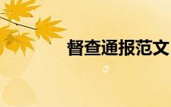 督查通报范文 督查通报格式