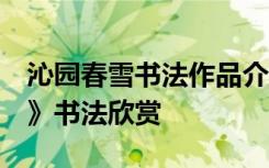 沁园春雪书法作品介绍 当代名家《沁园春.雪》书法欣赏
