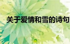 关于爱情和雪的诗句 描写雪与爱情的诗句
